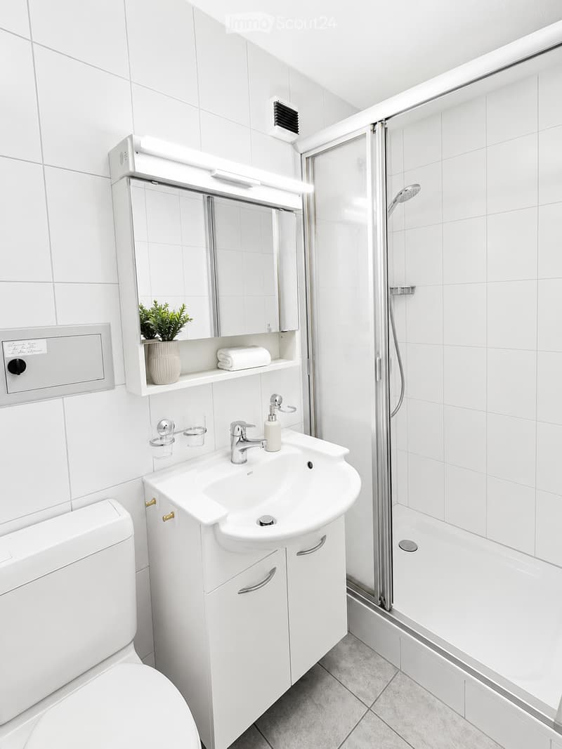 Modern bathroom with white tiles, a sink with a modern faucet, a mirror cabinet with a small plant and towel, a toilet, and a glass-enclosed shower area.