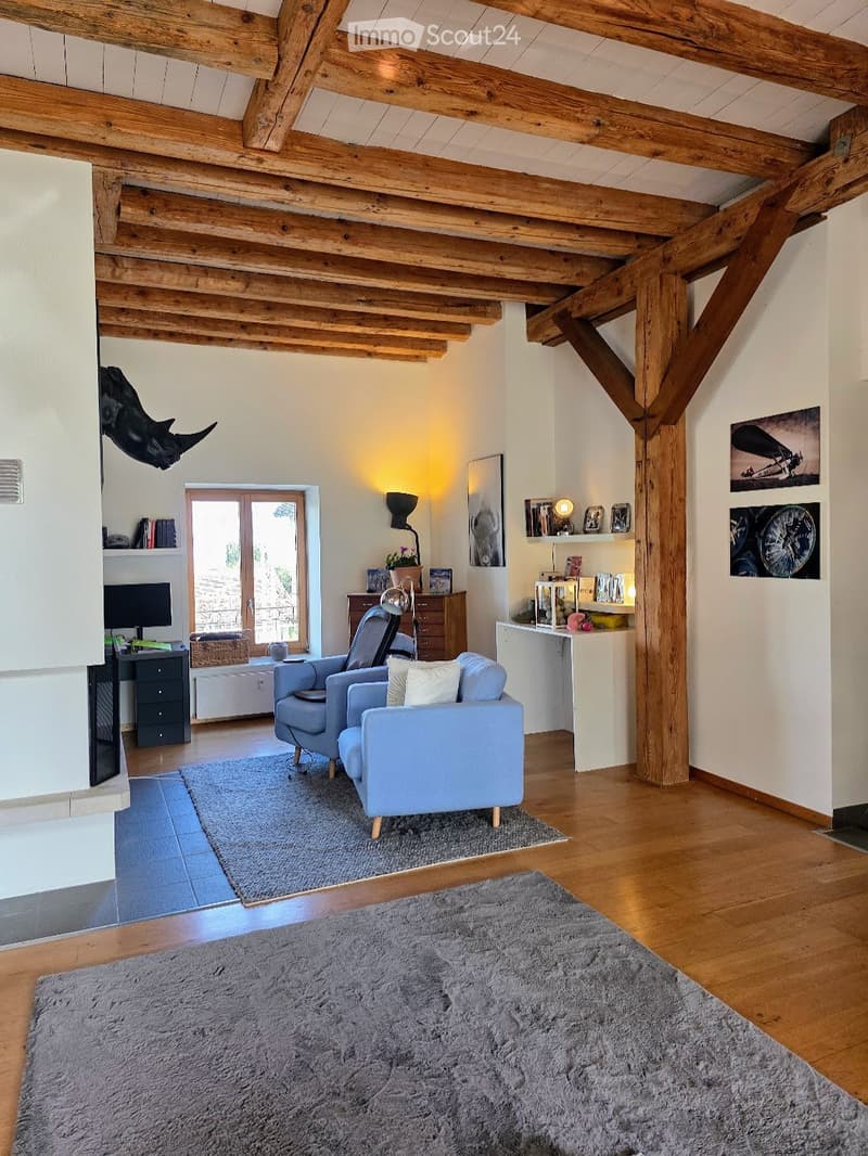 Living room with wooden beams, light blue sofa, armchair, wooden floor, large rug, shelves, and a TV screen.
