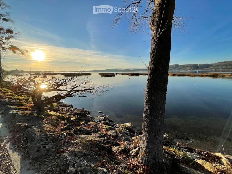 Lake and mountain view with a tree and stones