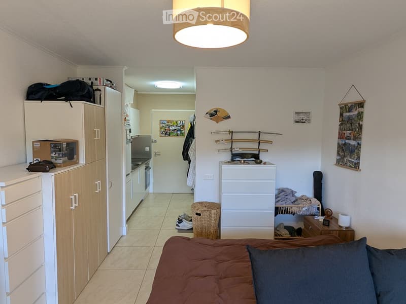 A furnished room with a bed, pillows, wardrobe, kitchen area, and various decorative items.