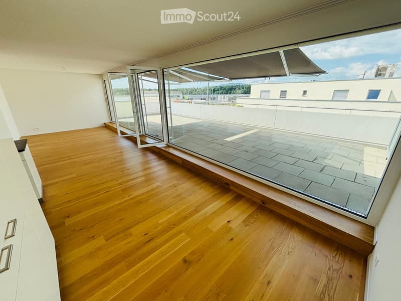 Wunderschöne 3.5-Zimmer-Attikawohnung – Riesige Terrasse 71m2, ruhig, sonnig, modern (4)