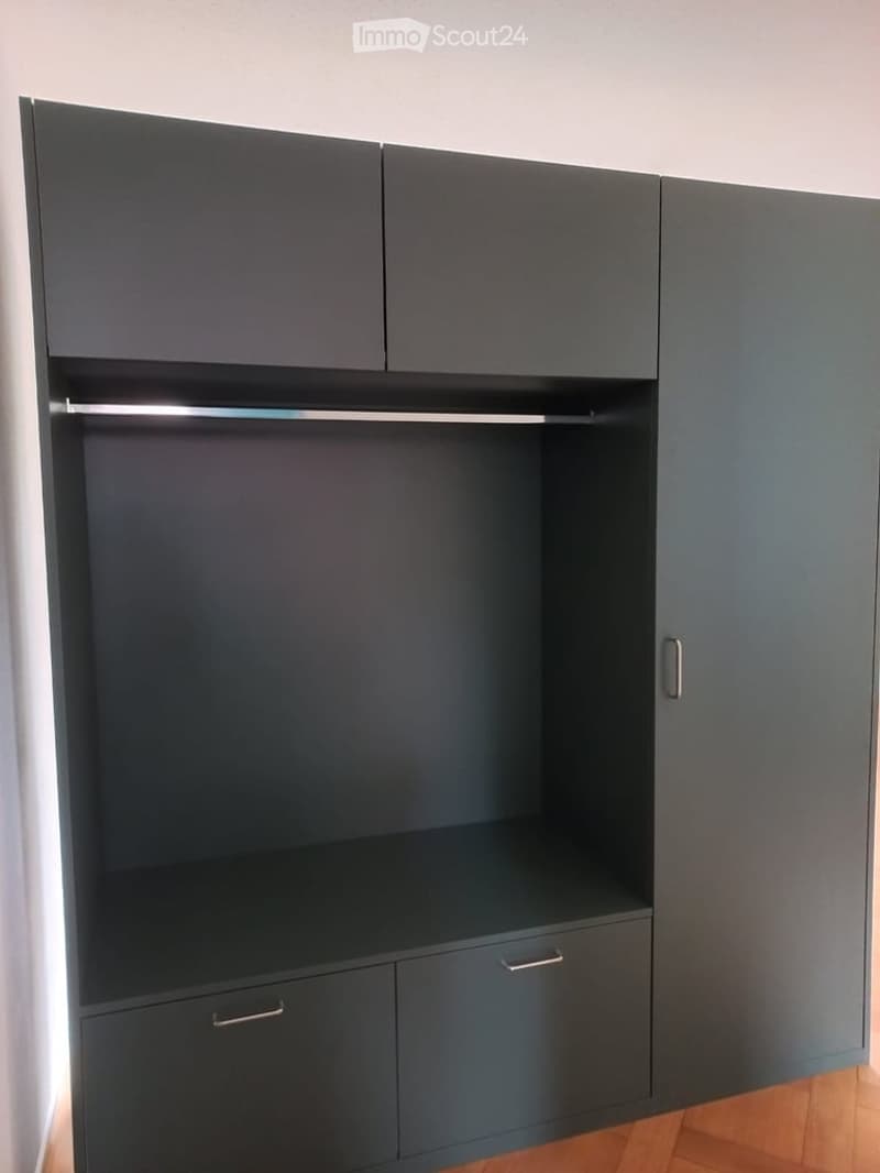 Empty room with dark grey built-in wardrobe and shelving unit, wooden floor, no furniture or items present.