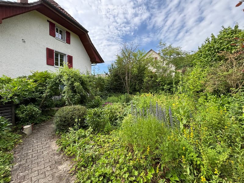 Garden with lush greenery, flowers, shrubs, and a pathway leading to a house with white walls and red shutters.