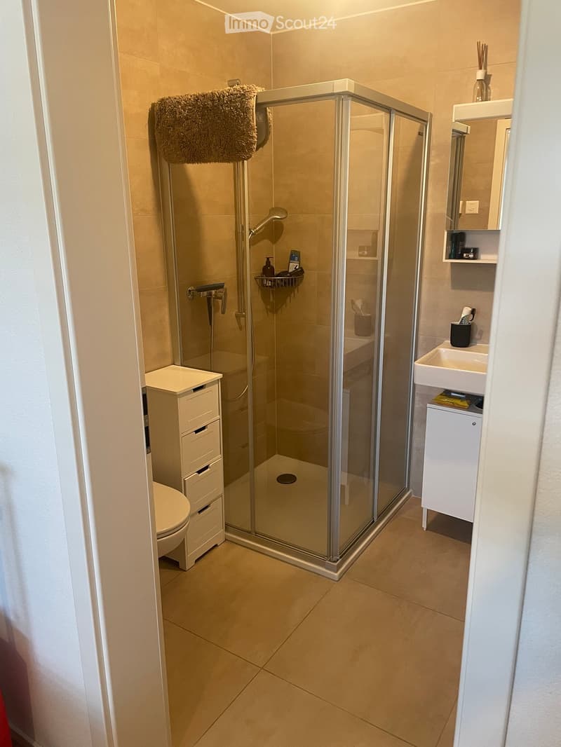 Wunderschöne 4.5-Zimmer-Wohnung (2)