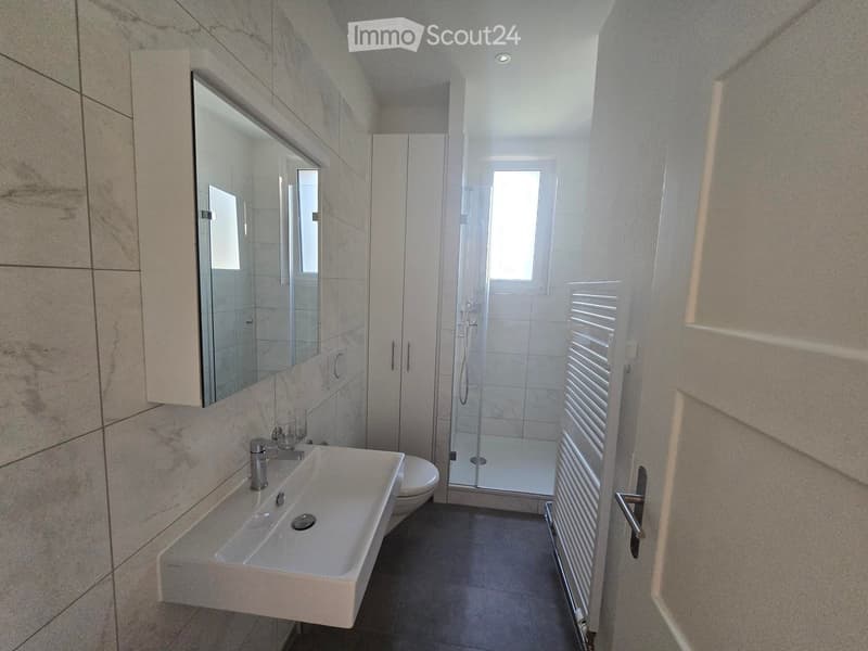 Modern bathroom with a white sink, mirror, toilet, and glass-enclosed shower. Light-colored tiles and a radiator are visible.