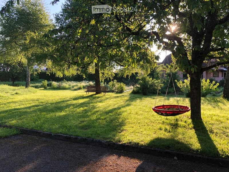 Lush green garden with a swing hanging from a tree, a wooden bench, and a gravel path.