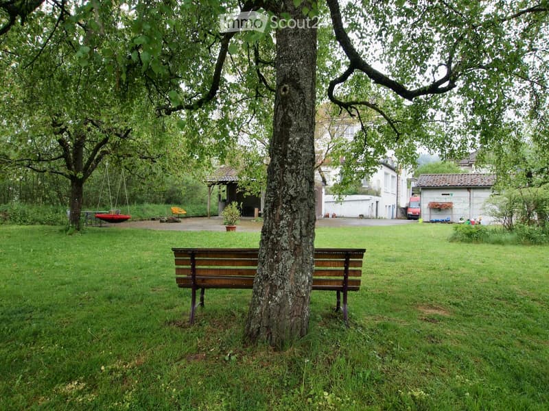 Lush green garden with a large tree, a wooden bench, a swing, and a small gazebo in the background.