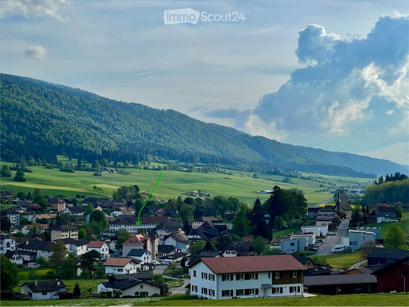 A picturesque village nestled in a lush green valley surrounded by mountains, featuring numerous houses with varied architectural styles and a winding road through the center.
