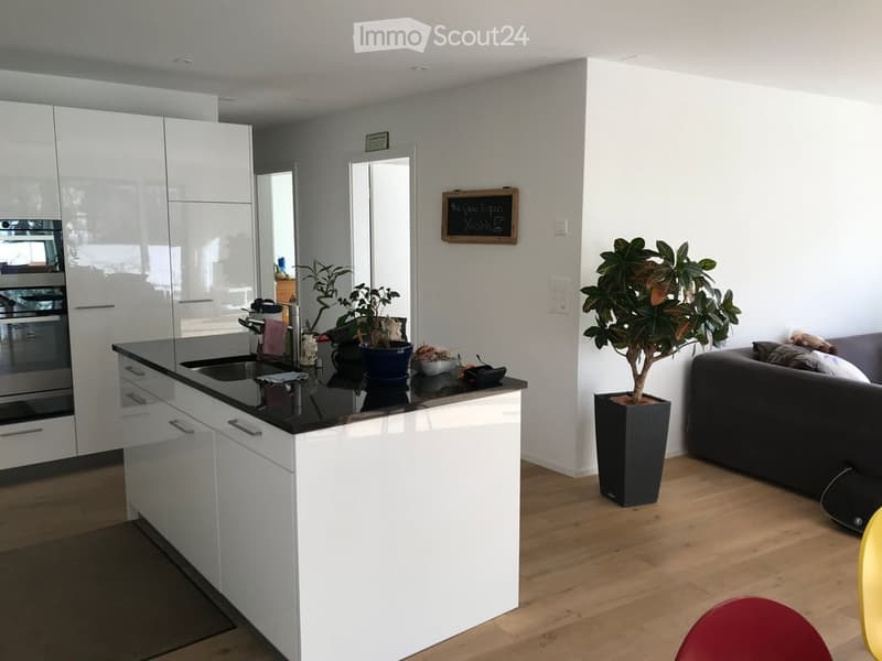 Modern kitchen and living area with white cabinets, black countertop, stainless steel oven, and a sofa in the living area.