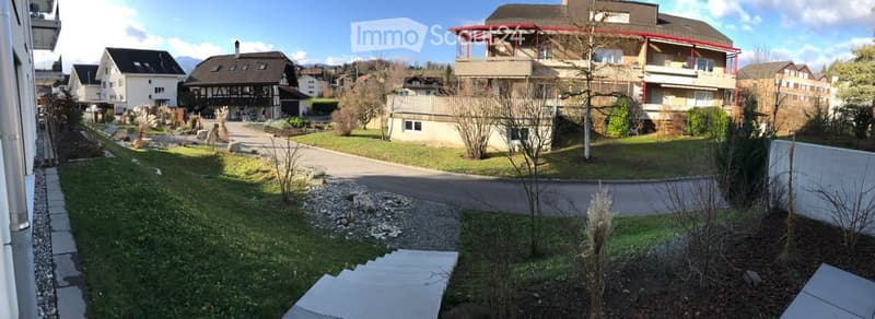 Residential outdoor area with a paved pathway, grassy lawn, small garden beds, and surrounding houses with varied architectural styles.