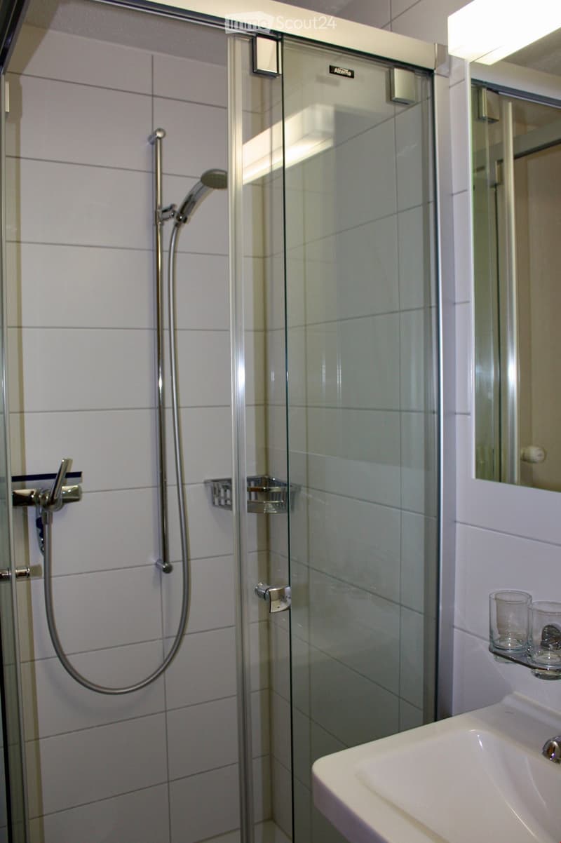 Modern bathroom with a glass-enclosed shower, a sink, and a mirror. The shower features a handheld sprayer and a built-in shelf. The sink has a modern design with a small glass shelf holding two glasses.