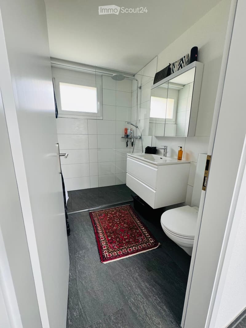 Modern bathroom with white tiles, a large mirror, a sink with a cabinet, a toilet, a shower area, and a red patterned rug on the floor.