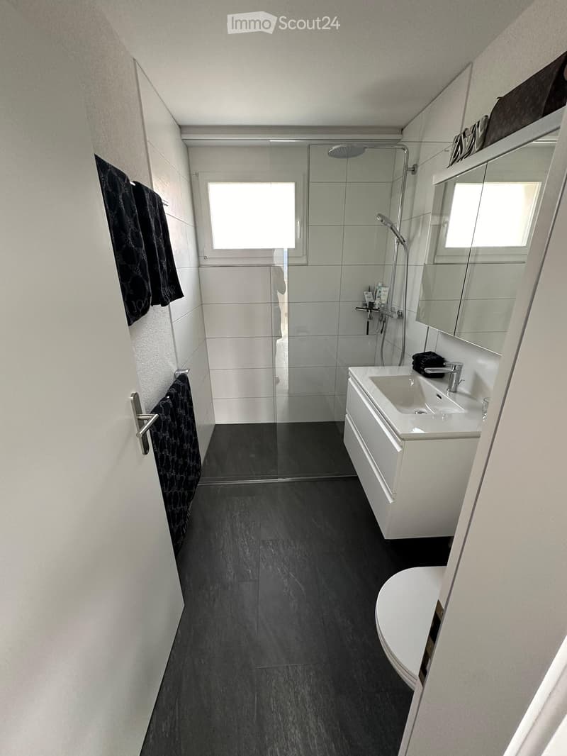 Modern bathroom with dark tiled floor, white walls, glass-enclosed shower, sink with mirror, and towels hanging on the wall.