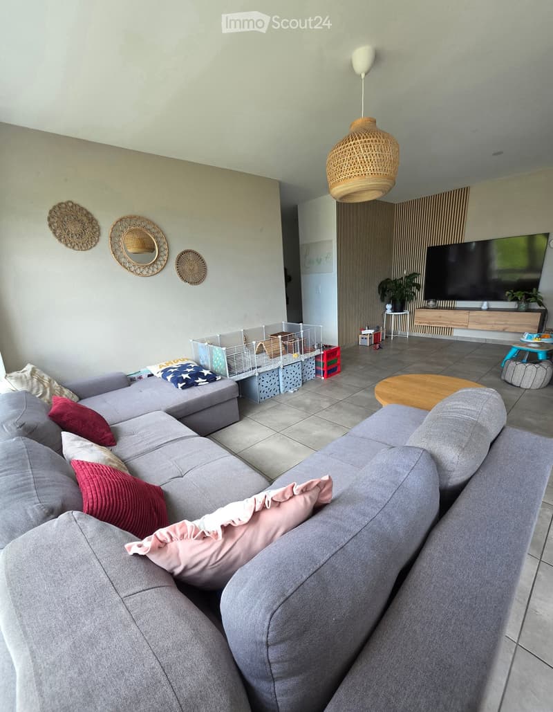Modern living room with grey sectional sofa, coffee table, TV, floor lamp, decorative mirrors, and small pet cage.