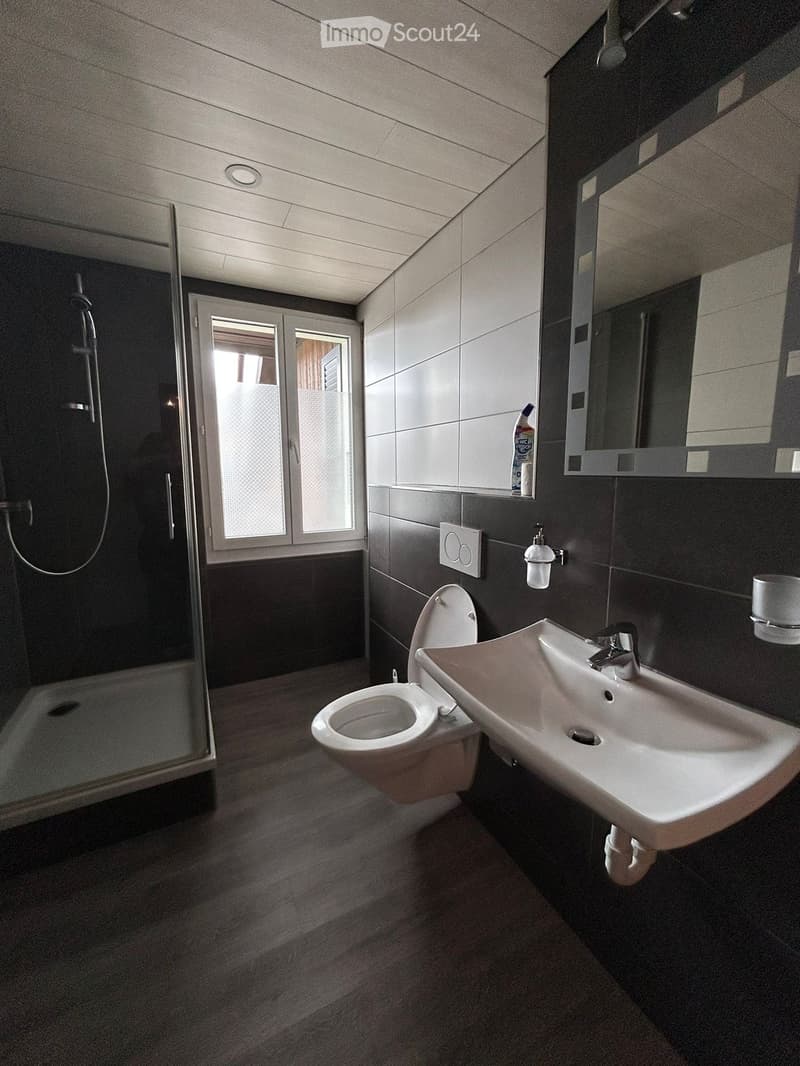 Modern bathroom with dark tiled walls, a toilet, a sink with a modern faucet, a shower area, and a mirror above the sink.