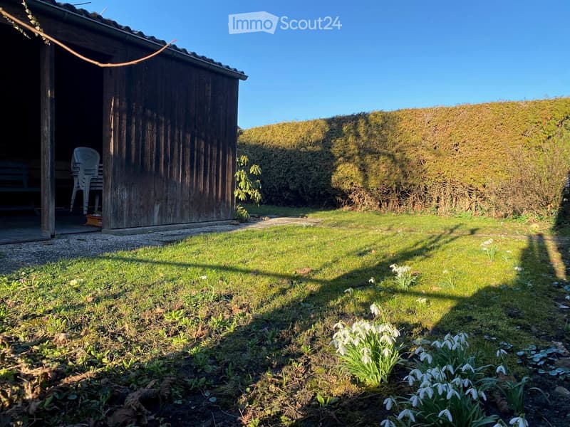 Wooden storage shed, lawn, white flowers, trimmed hedge, gravel path, sunny weather