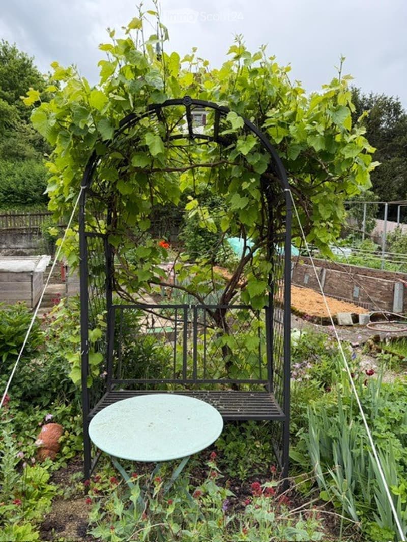Garden with a metal archway covered in climbing plants, a round glass table, and lush greenery.