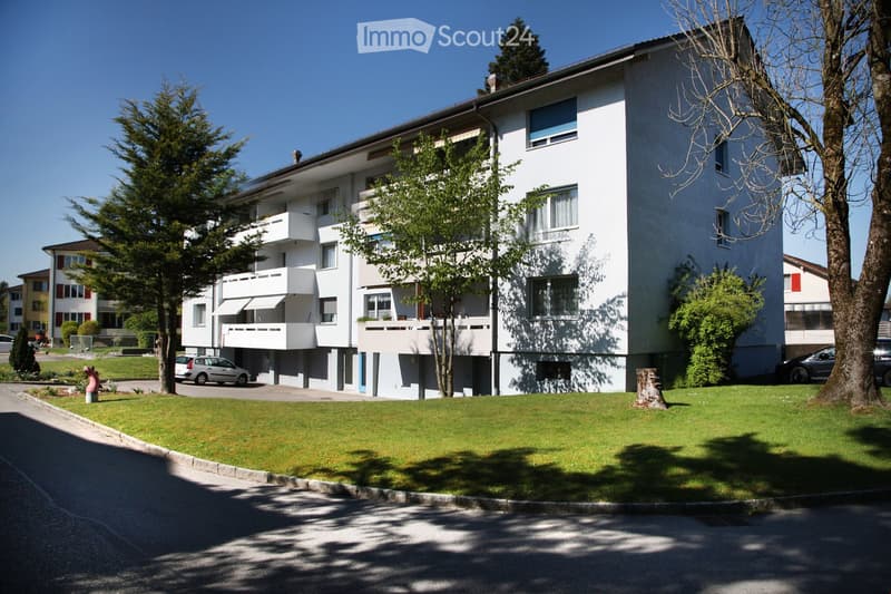 Beautiful, top-renovated 4-room apartment in a sunny, quiet location (1)