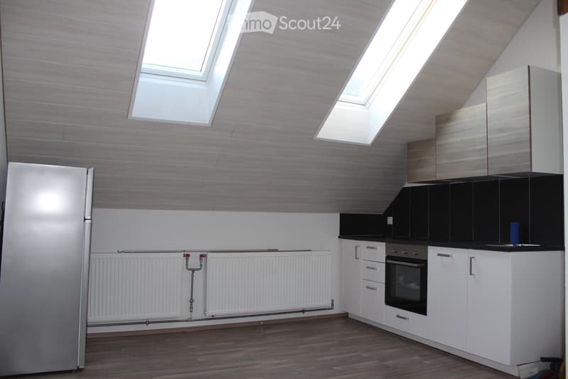 Modern kitchen with white cabinets, stainless steel appliances, wooden flooring, and skylight windows.