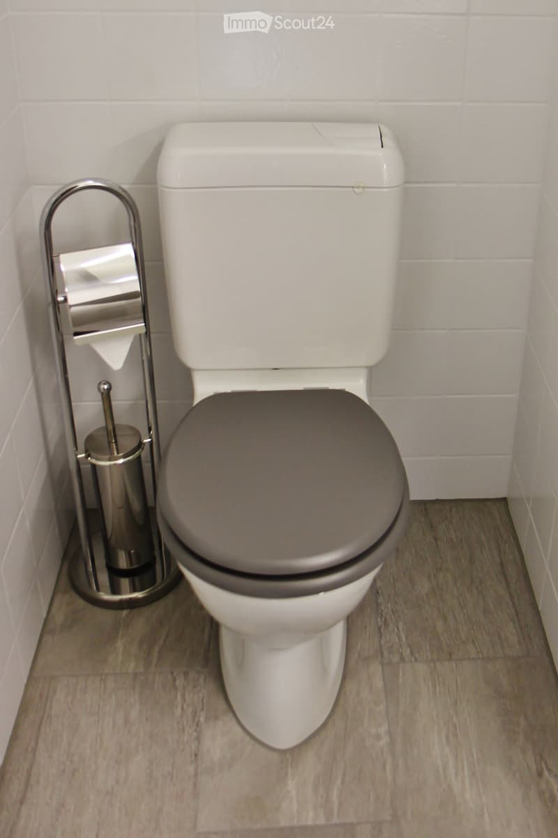 Modern bathroom with a white toilet, dark grey seat, and a stainless steel toilet paper holder and brush holder.