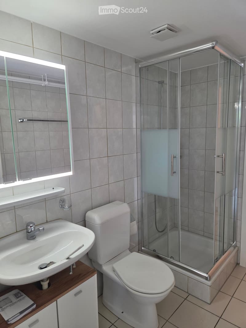 Modern bathroom with a white sink, toilet, and glass-enclosed shower. Features a built-in mirror with lighting and a wooden cabinet under the sink.