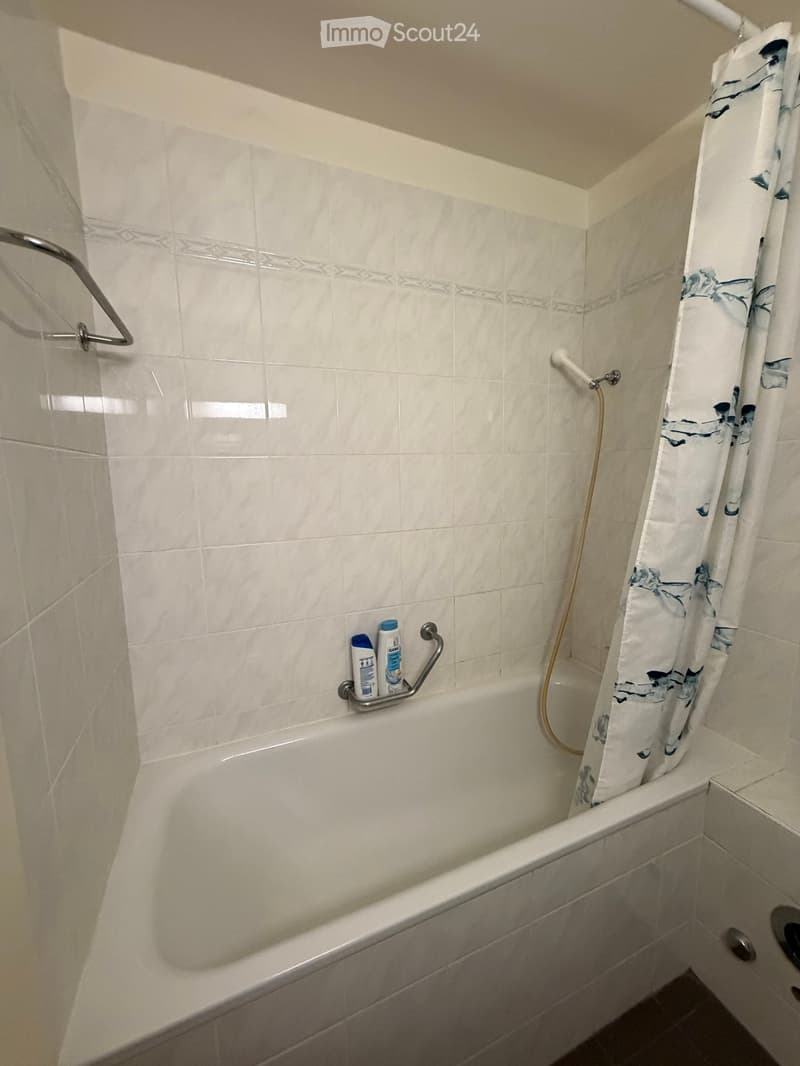 Bathtub with a handrail, shower hose, and a decorative shower curtain. Two bottles are placed on the edge of the tub.
