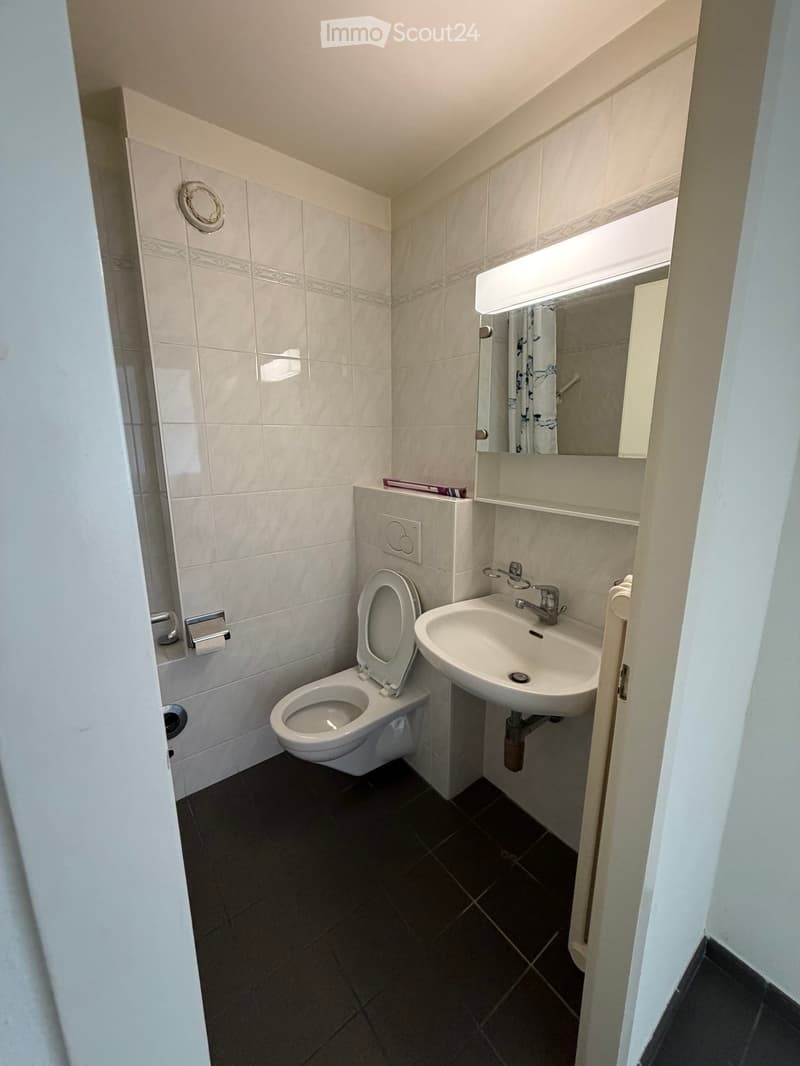 A small bathroom with a toilet, sink, mirror, and light fixture. The walls are tiled, and the floor is dark tiled.