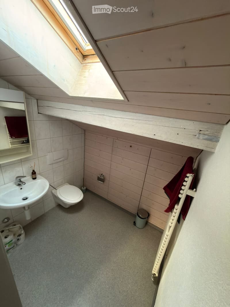 Small bathroom with wooden paneling, a skylight window, a sink, toilet, mirror, and a towel hanging on a rack.