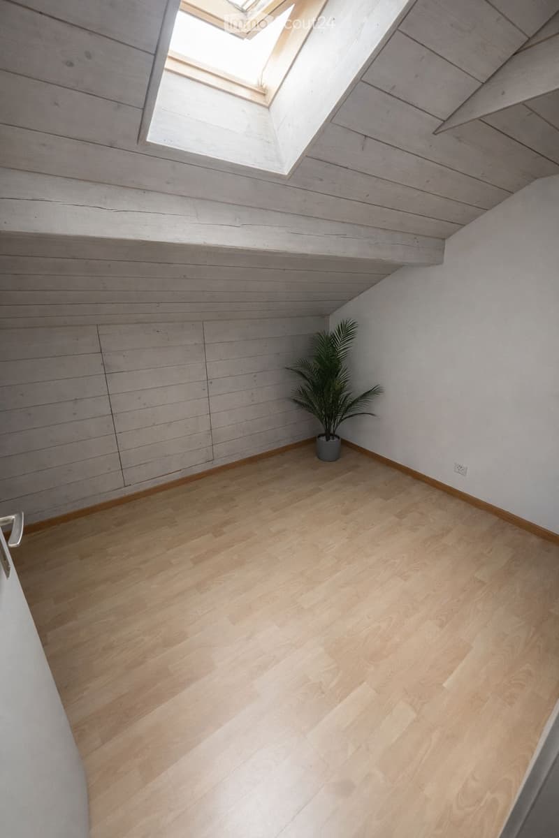 Empty attic space with wooden flooring, white walls, and a skylight window allowing natural light. A small potted plant is placed near the wall.