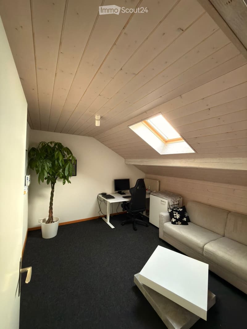 A multi-functional room with a slanted wooden ceiling, skylight, sofa, coffee table, desk with computer, and a potted plant.