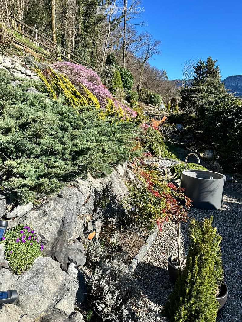 A landscaped garden with various plants, shrubs, and rocks, featuring a modern water feature and a pathway.