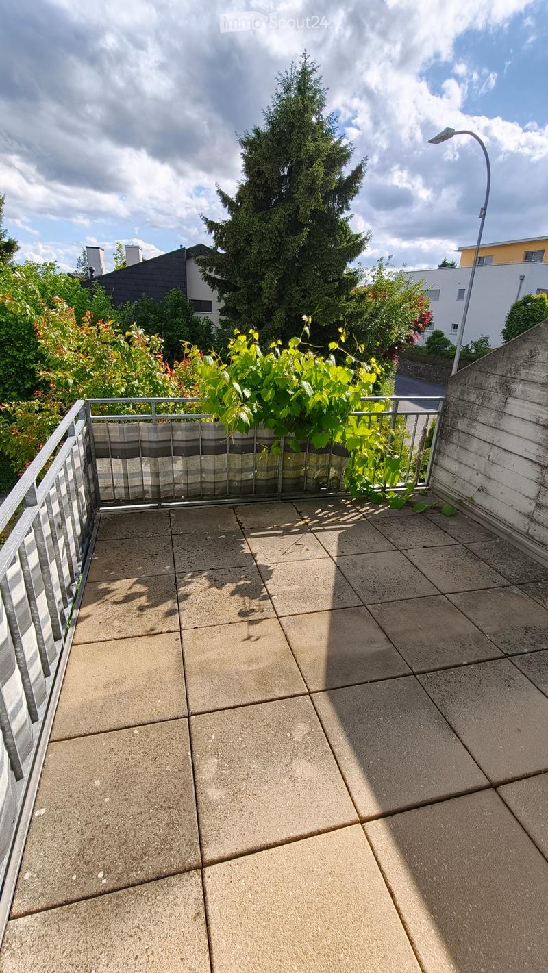 Balcony with tiled floor, metal railing, and climbing plants, overlooking a residential area with trees and houses.