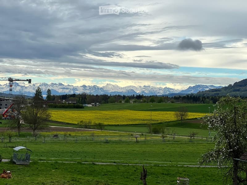 A wide, green field with scattered trees and a yellow flowered area, with a mountainous backdrop and a few buildings and vehicles visible in the distance.