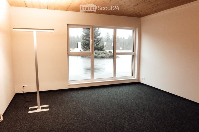 Empty room with carpeted floor, large window with a view of a parking lot and trees, and a modern floor lamp.
