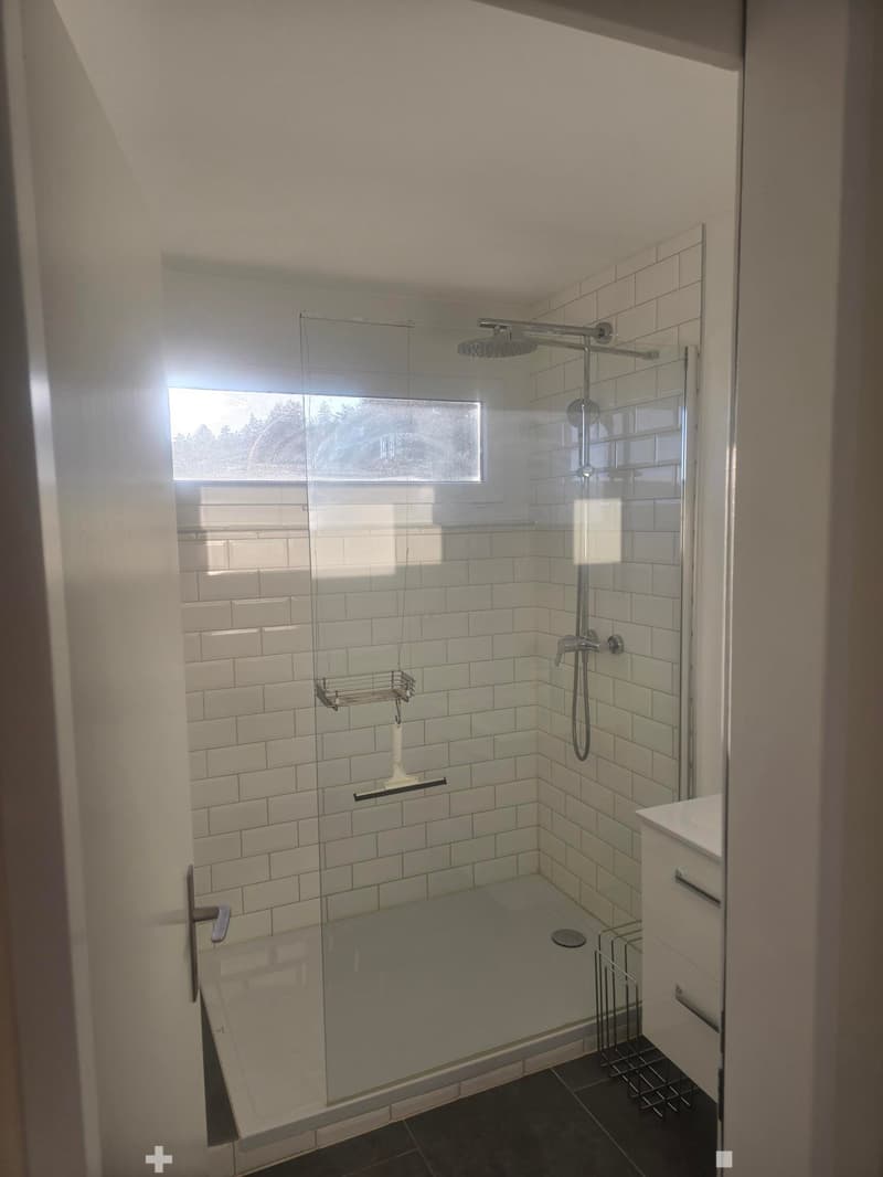 Modern bathroom with a glass-enclosed shower, white tiled walls, a shower rack, and a towel rack. The shower features a handheld sprayer and a fixed overhead showerhead.