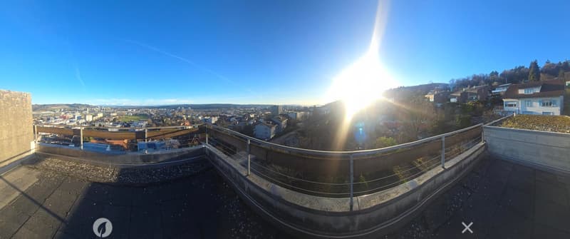 Roof terrace with a panoramic city view, modern metal railing, and clear blue sky.