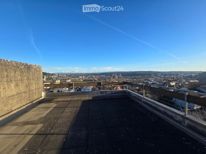 Roof terrace with concrete floor, metal railing, and panoramic city view with mountains in the distance.