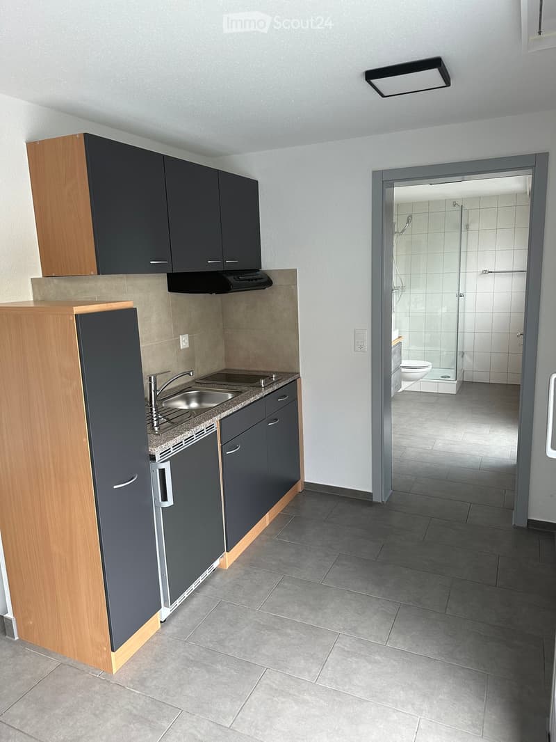 Modern kitchen with dark grey cabinets, wooden accents, stainless steel sink, and a dishwasher. An open doorway leads to a modern bathroom with a glass shower enclosure and a toilet.