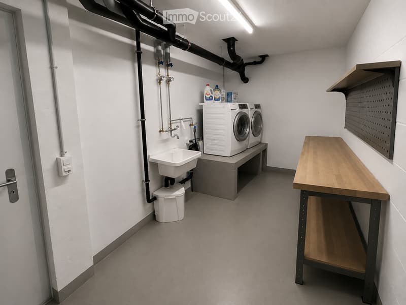 Clean, modern utility room with a washing machine, sink, small table, and shelves for cleaning supplies.