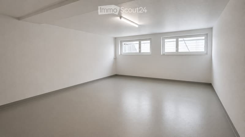 Empty room with white walls, grey floor, and two windows with blinds.