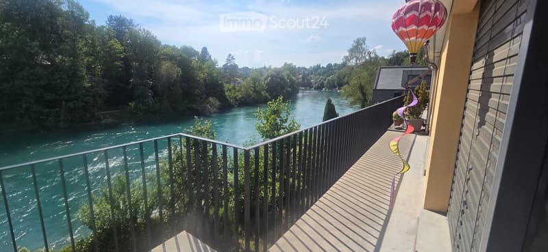 Balcony overlooking a river with a decorative balloon and potted plants.