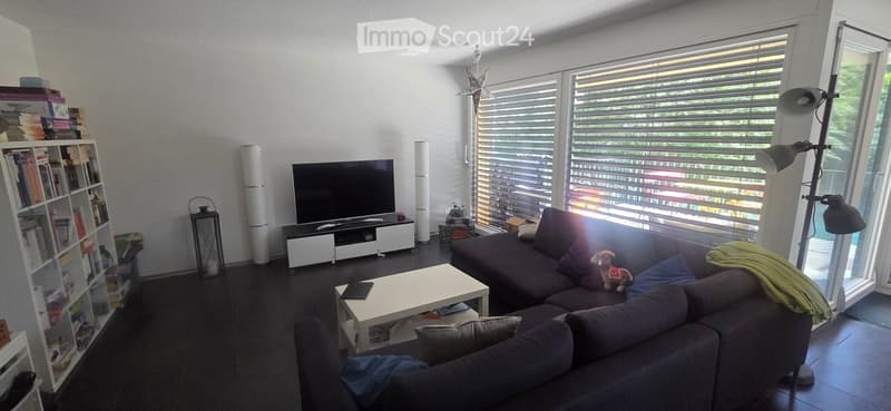 Modern living room with dark flooring, large windows with blinds, a sectional sofa, coffee table, TV, bookshelf, and floor lamp.