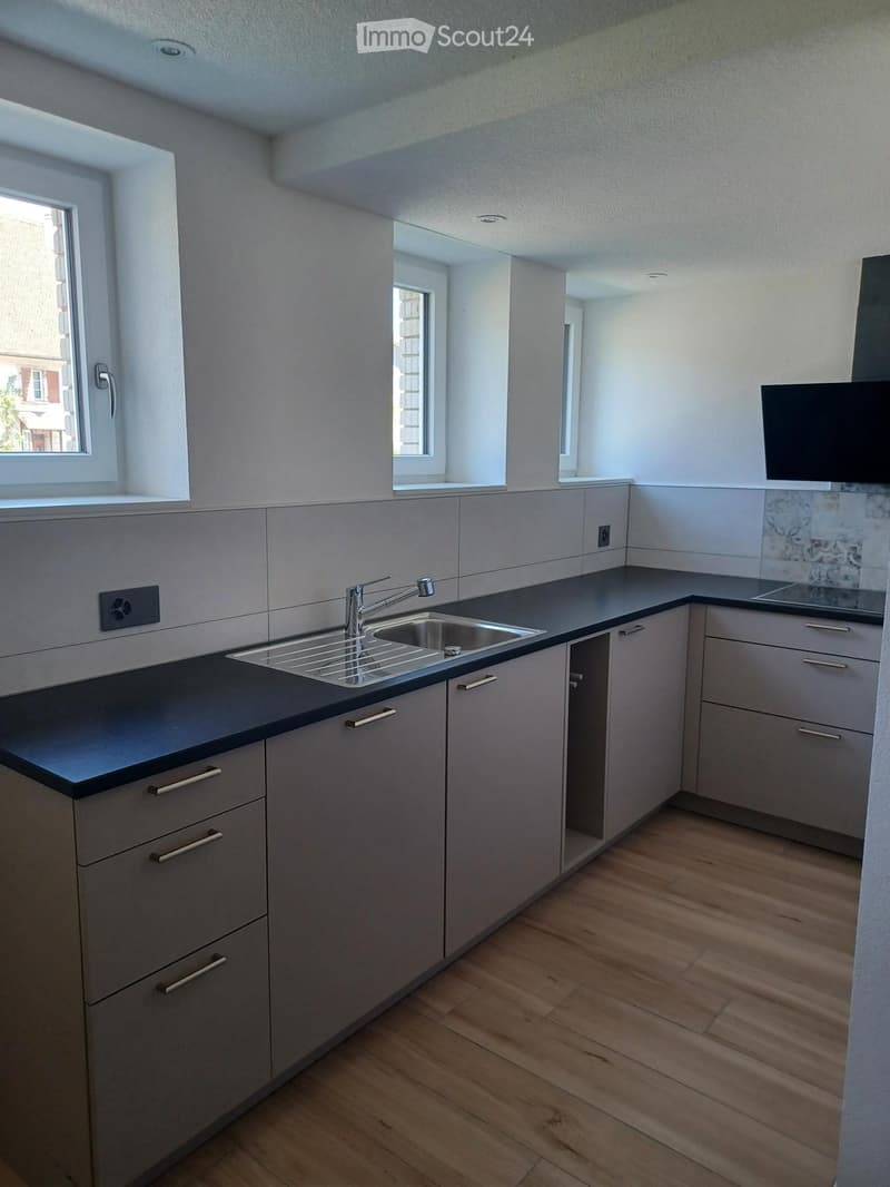 Modern kitchen with light grey cabinets, dark countertops, and a stainless steel sink. The space features wooden flooring and large windows allowing natural light.