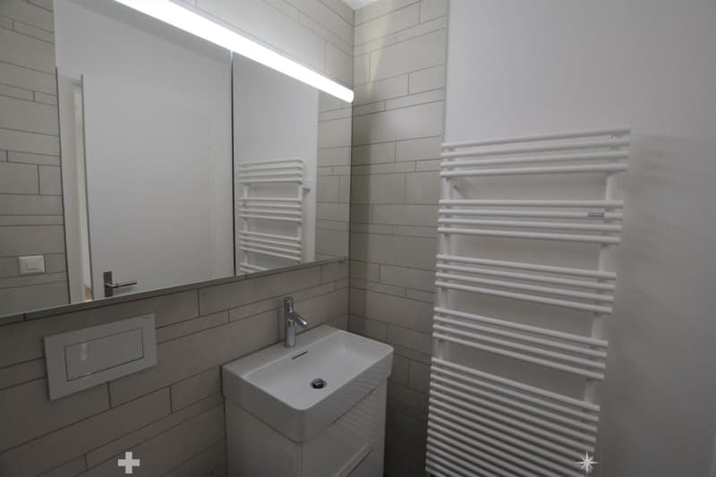 Modern bathroom with a white sink, large mirror, and white radiator on the wall.