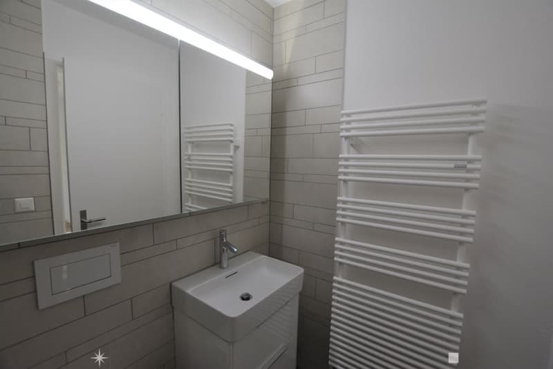 Modern bathroom with a white sink, large mirror, and white radiator on the wall.