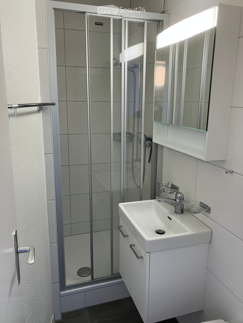 Modern bathroom with a white sink, chrome faucet, mirrored cabinet, and a glass-enclosed shower stall.
