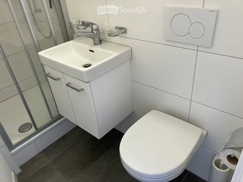 Modern bathroom with white tiles, a white sink with a chrome faucet, a toilet, and a glass-enclosed shower area.