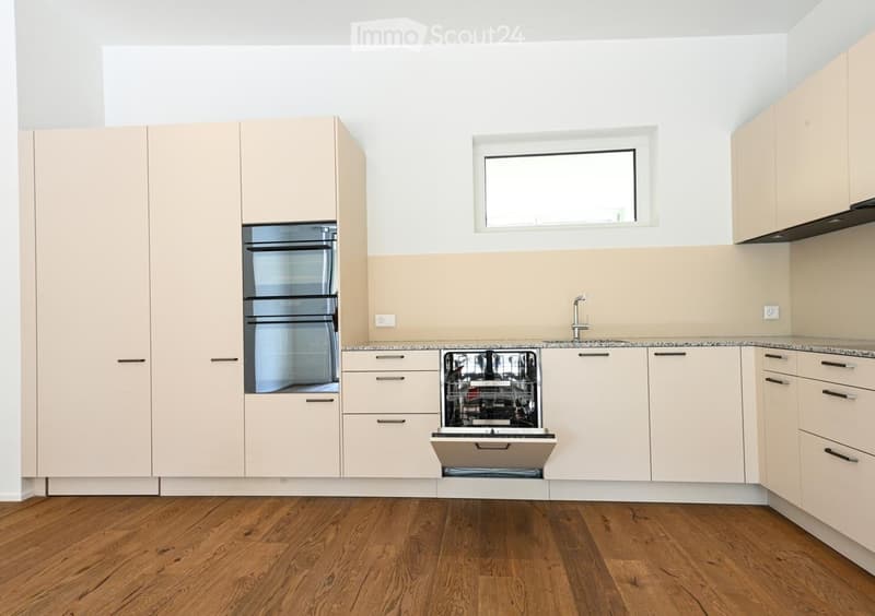 Modern kitchen with light-colored cabinets, a dishwasher, an oven, and a granite countertop.