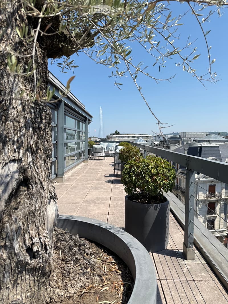 Rooftop terrace with a modern design, featuring a potted plant, a chair, and a small table, overlooking a cityscape with a fountain in the distance.