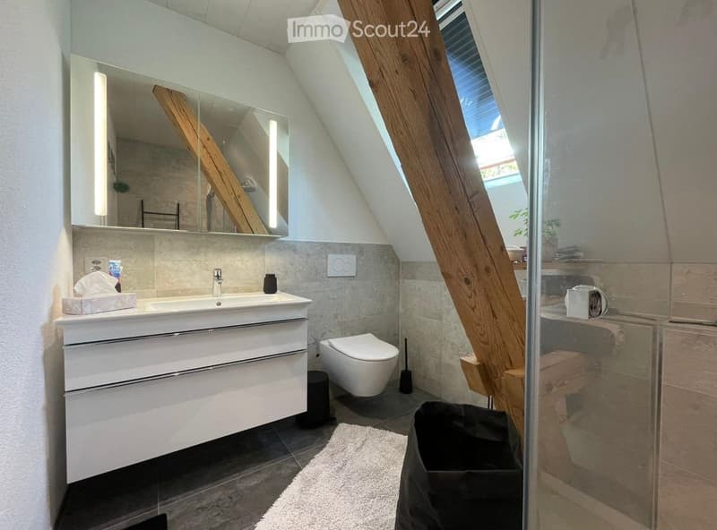 Modern bathroom with a white sink, mirror, toilet, and a glass-enclosed shower. Features exposed wooden beams and a skylight window.